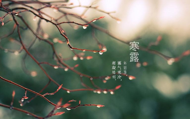 秋意浓天渐凉完整版,秋意浓天渐凉