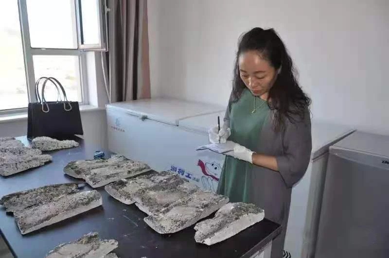 李昌钰送给董艳珍什么礼物,李昌钰高薪聘请董艳珍