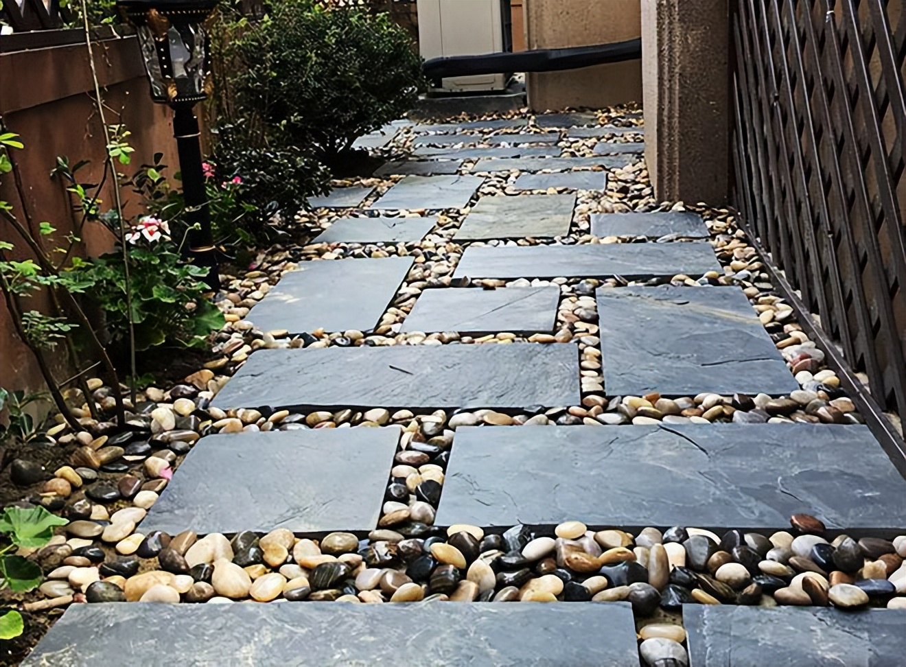 庭院防鼠防虫,如何防治高层老鼠方法