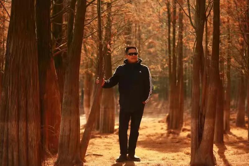 红杉林之恋,红杉林之恋完整版