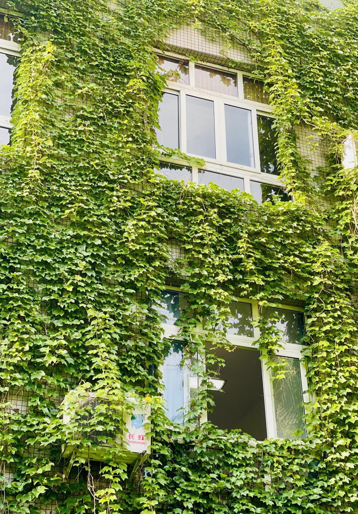 成都十七中指标到校,助力中高考为梦想护航