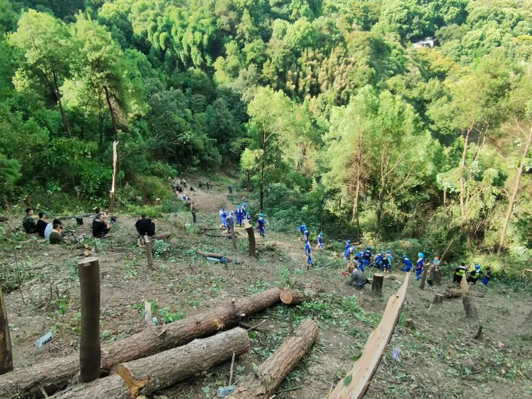 重庆高温同时引起山火新闻,重庆高温灭山火