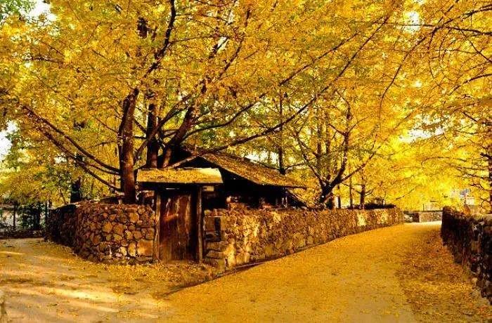 中国翡翠第一城腾冲,翡翠第一城腾冲瑞丽