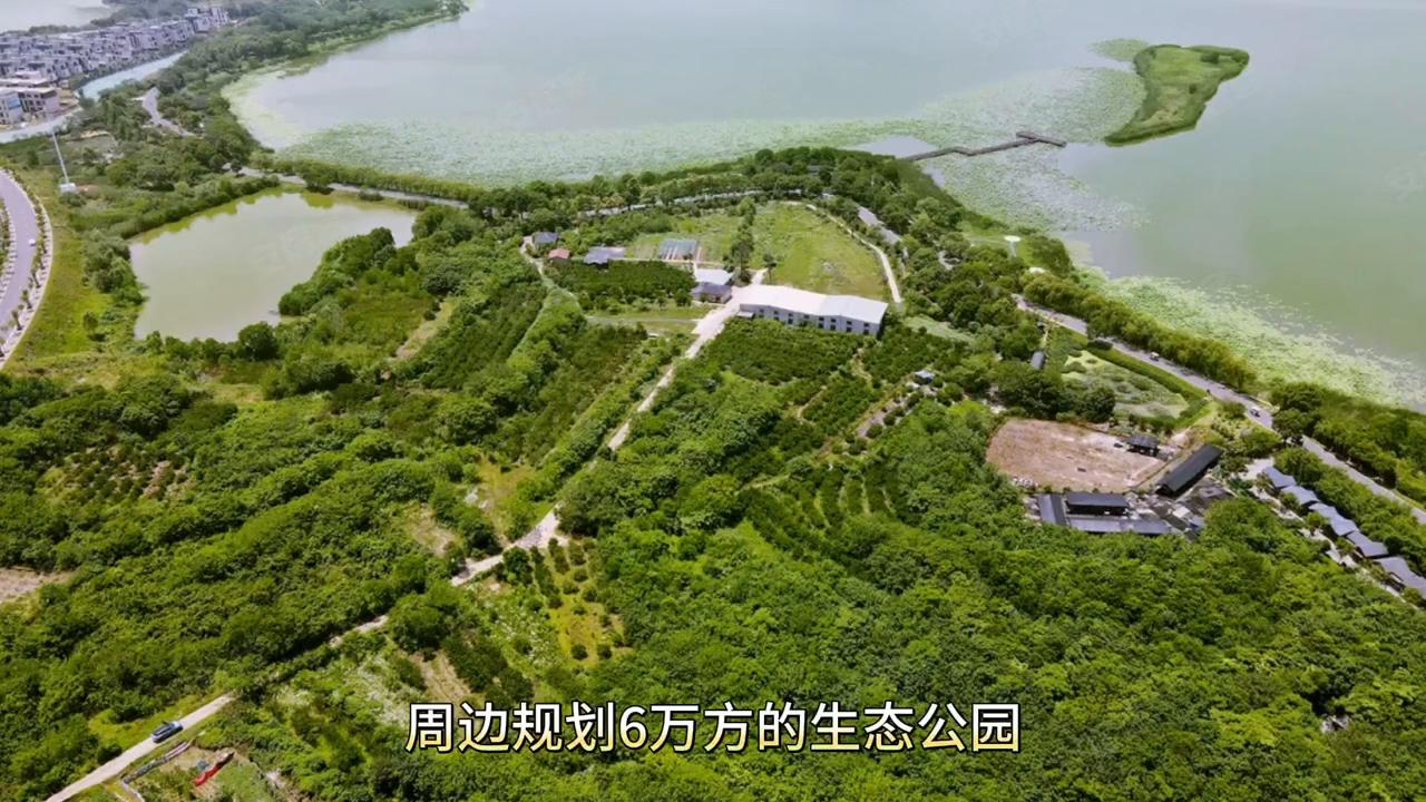 武汉金地国际城拿地价,武汉金地国际城的房子值得购买吗