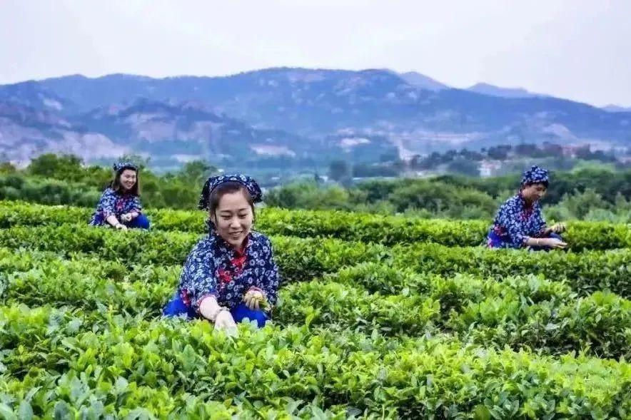 世外桃源的乡村美景,2018中国美丽休闲乡村一共多少个