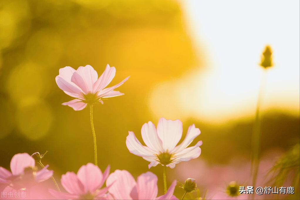 家中有这三种子孙福气会不请自来,家庭出现三点是衰败信号