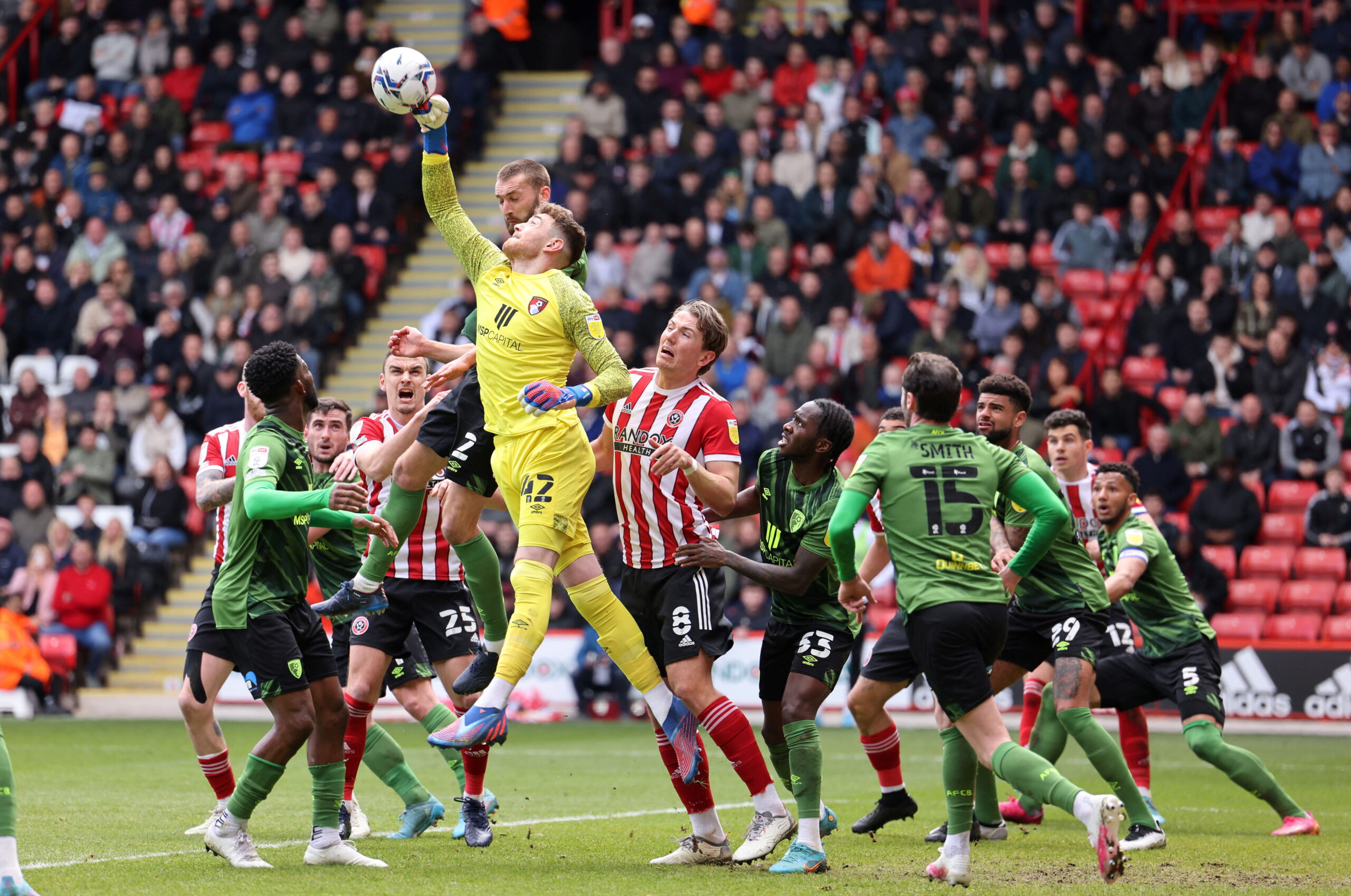 英冠榜首大战伯恩利,英冠伯恩利对桑德兰最新比分预测