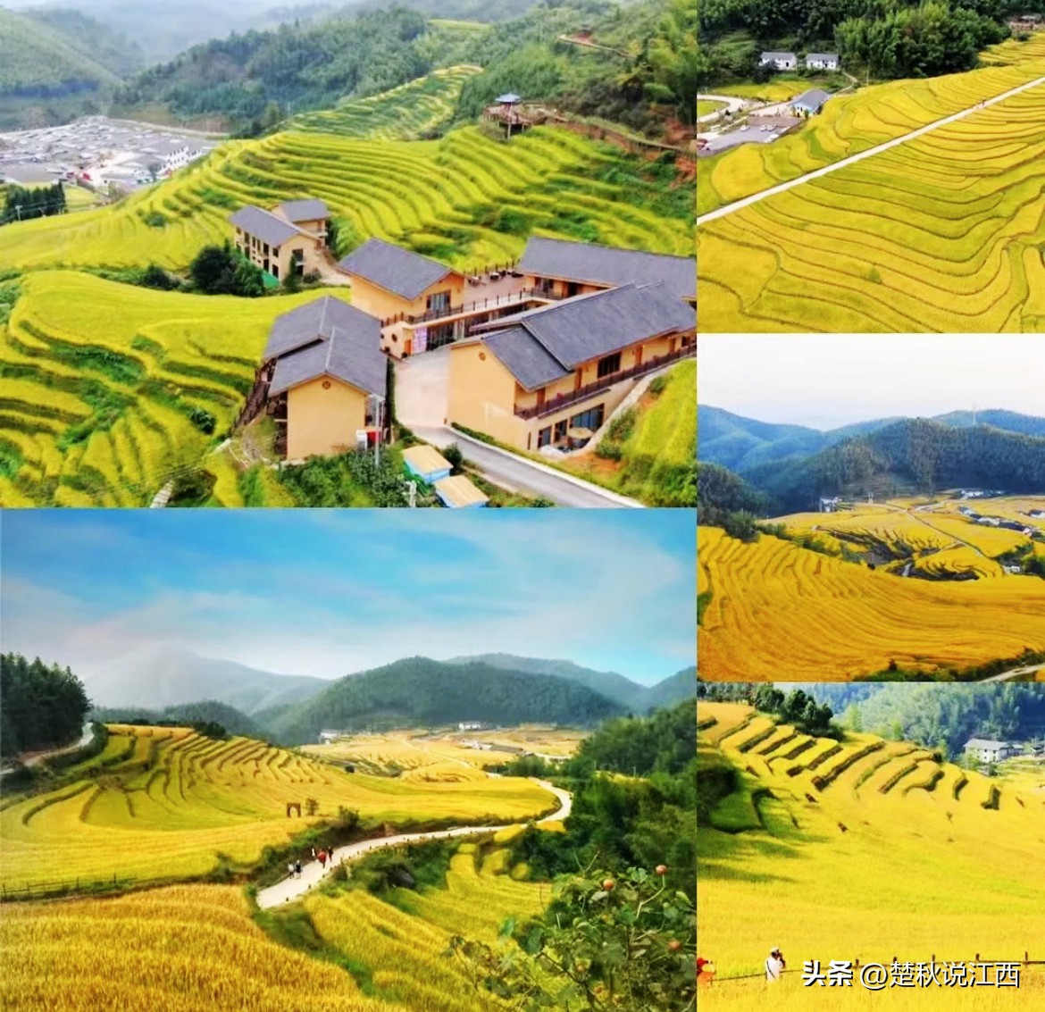 江西有哪些梯田风景区,江西梯田排名前十的梯田