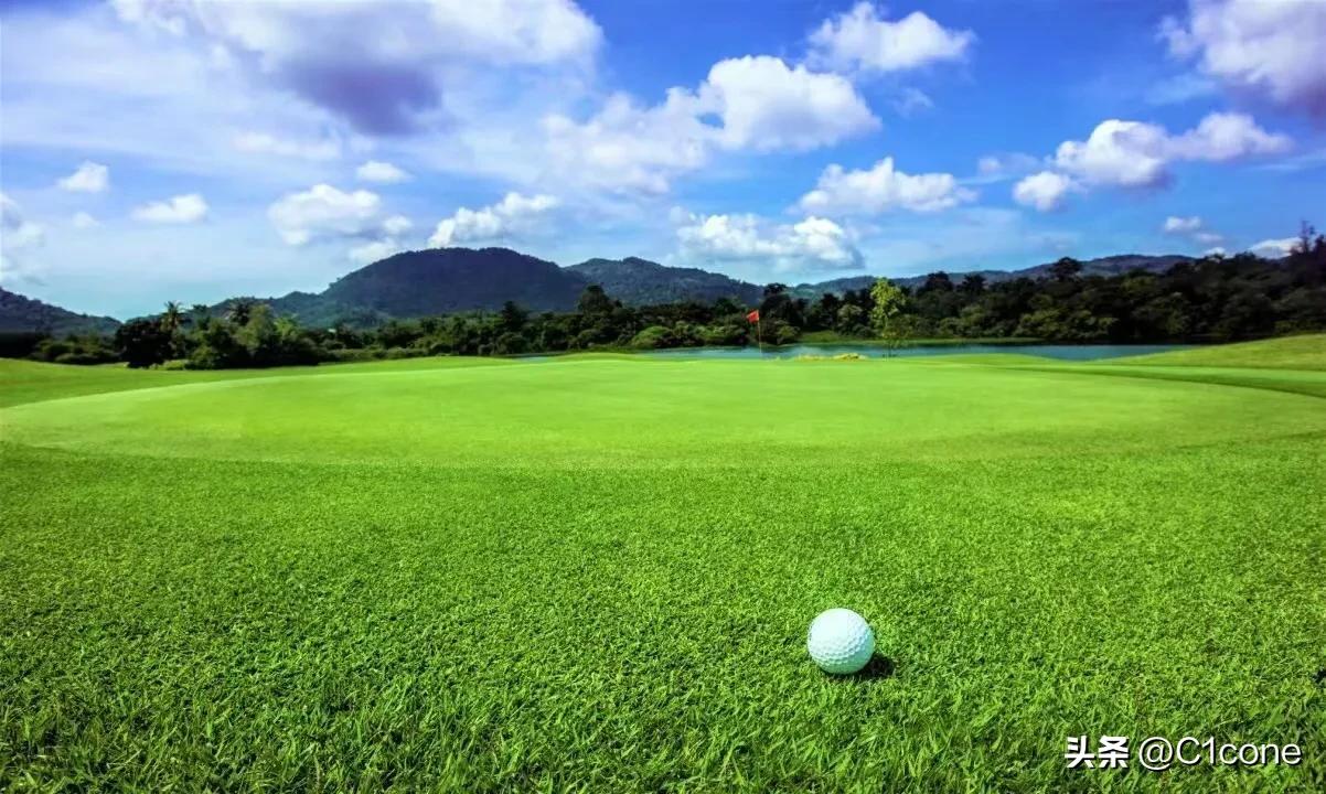 佛山最🔥最大最便宜的深林度假园区.单价5000带装修送家电.