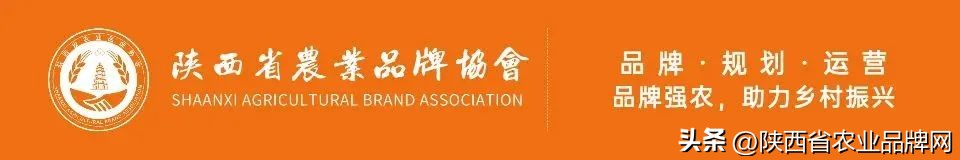 《俪人搜城记》在西安太乙城生活中心隆重开街