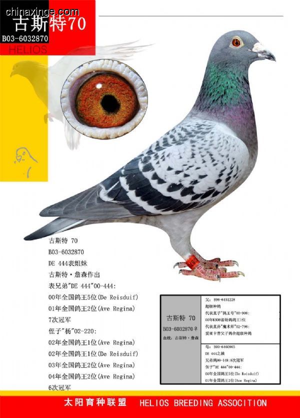 善良比利时莫里斯,比利时速度狂魔