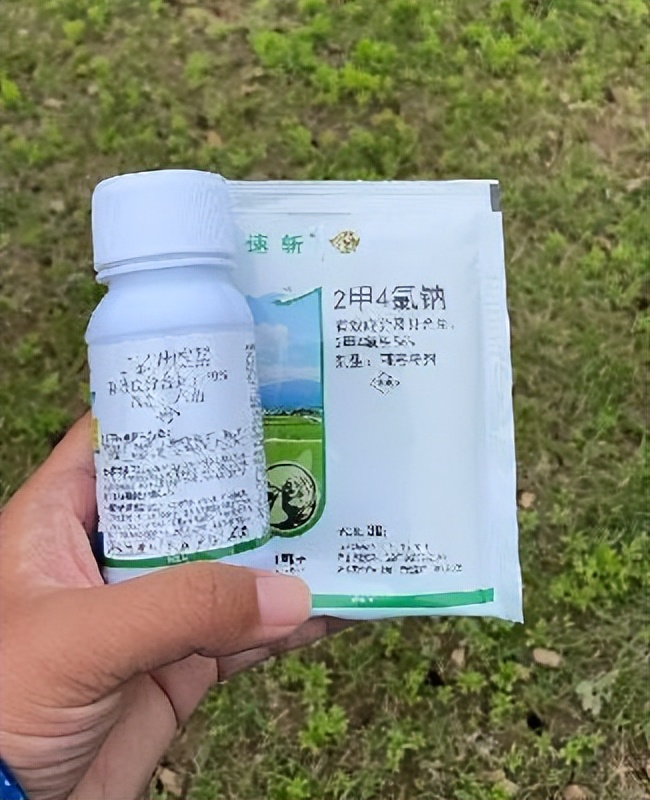 12月份园林绿化养护工作重点,元月份园林养护重点工作