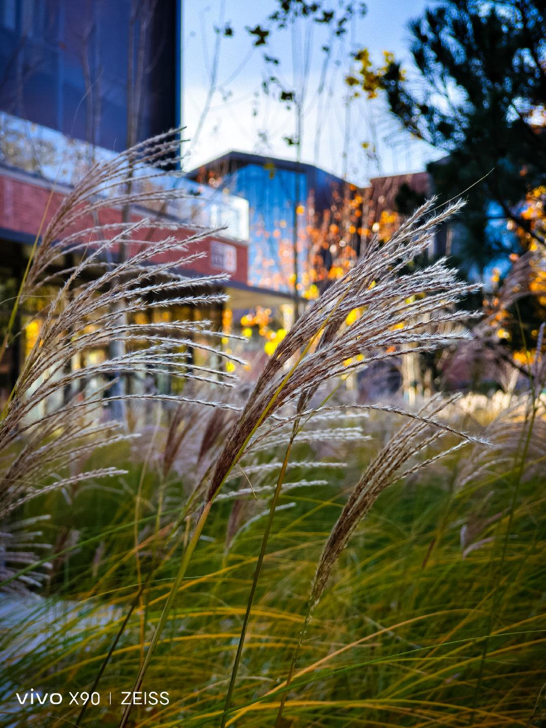 vivox90白色版好吗,vivox90白色版好看吗