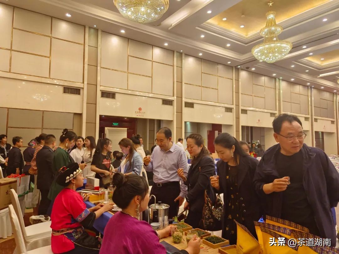 湖南长沙县春茶,2022湖南春茶总结