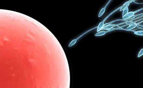 进入女性体内后，没“受精”成功的精子都去哪儿了？既好笑又心疼
