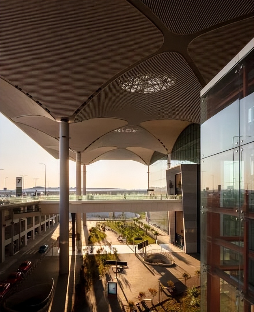 上海市白玉兰荣誉奖,上海白玉兰荣誉奖2020