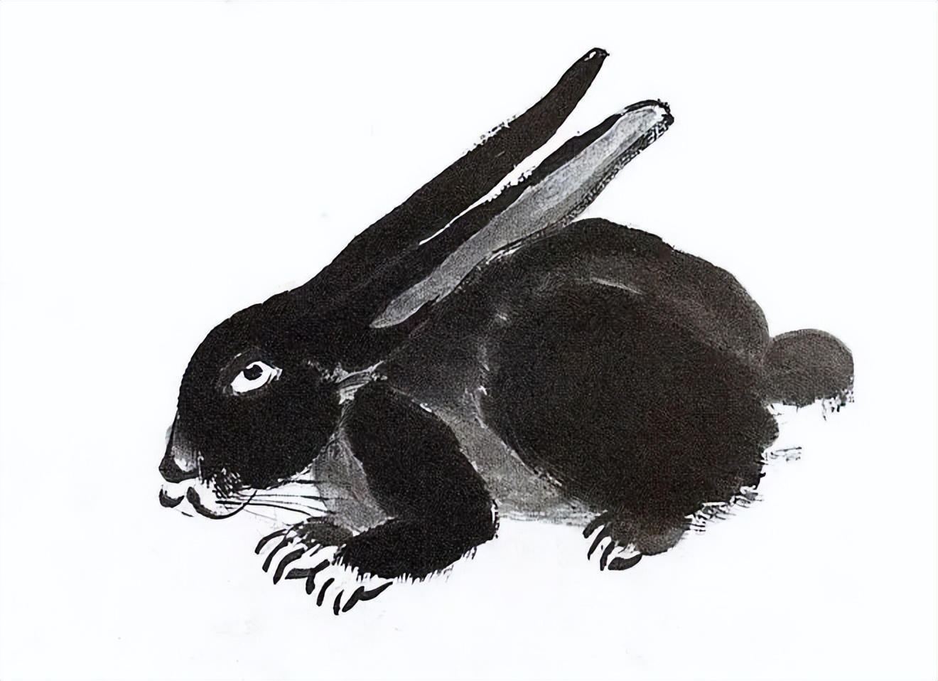 齐白石笔下富贵的牡丹,齐白石写意兔子
