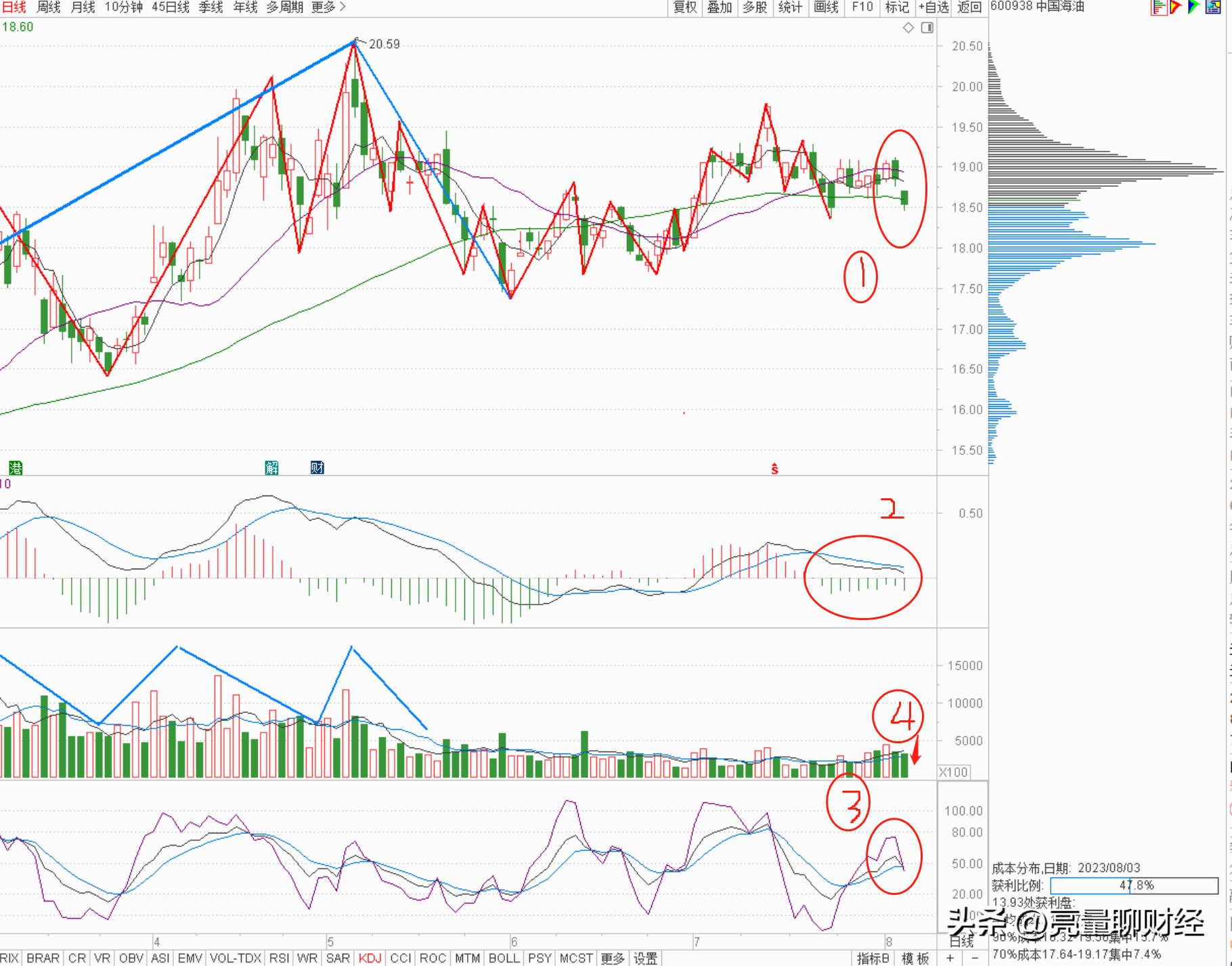 中国海油分红预测,中国海油股票60058目标价多少