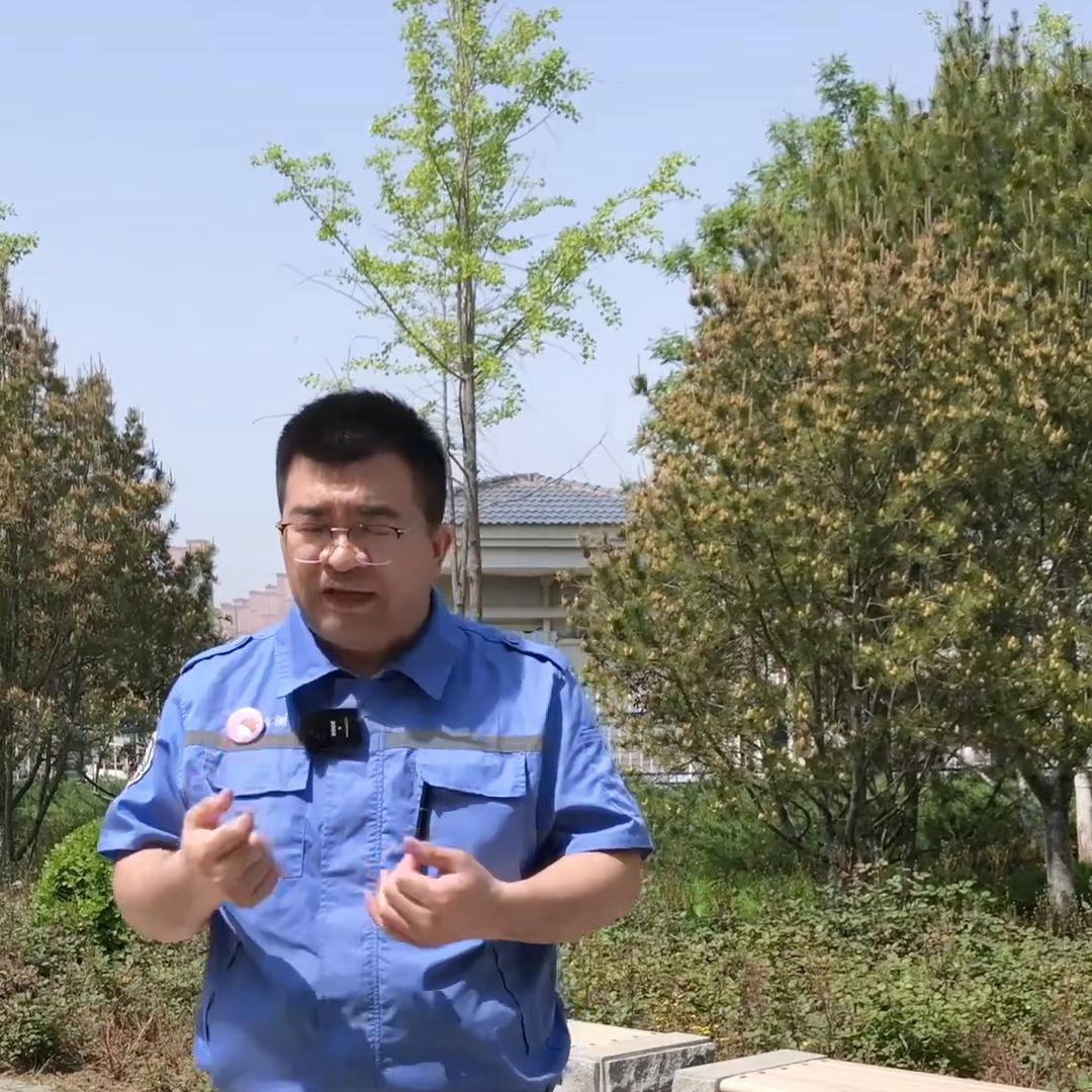 北京车牌公司摇号都需要什么条件 (北京公司摇号车牌需要什么条件)