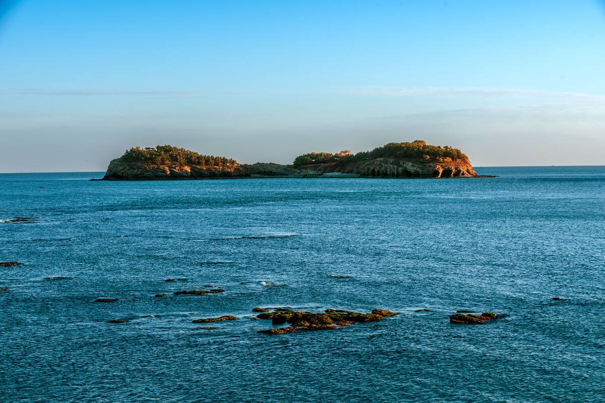 大连旅游赶海景点推荐,大连必去旅游攻略