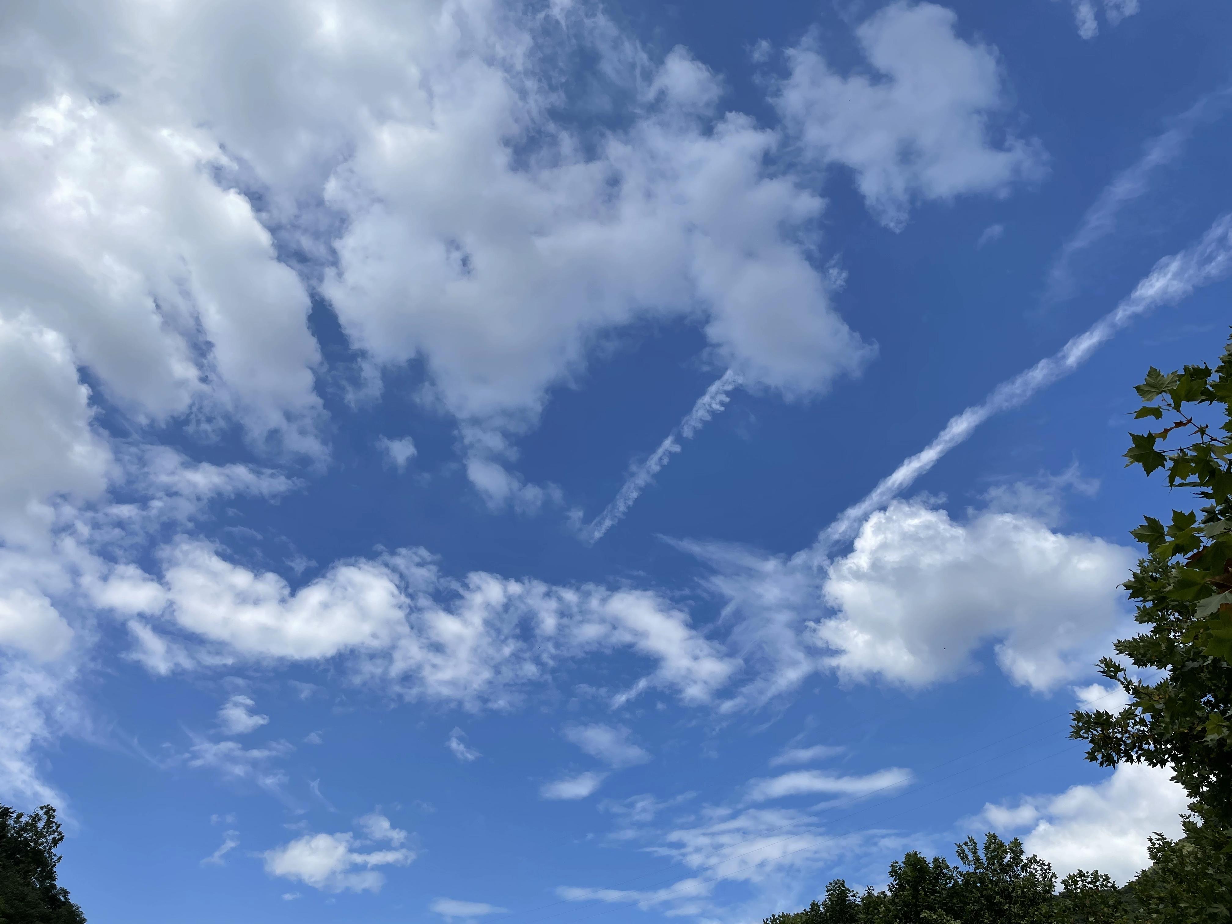 信息时代，那些深陷黑网贷一发不可自拔的超前消费者们该何去何从