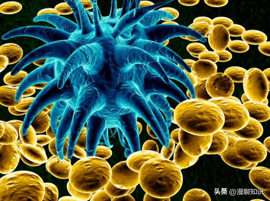 妇阴康洗剂的用途,妇阴康洗剂是抗生素药吗