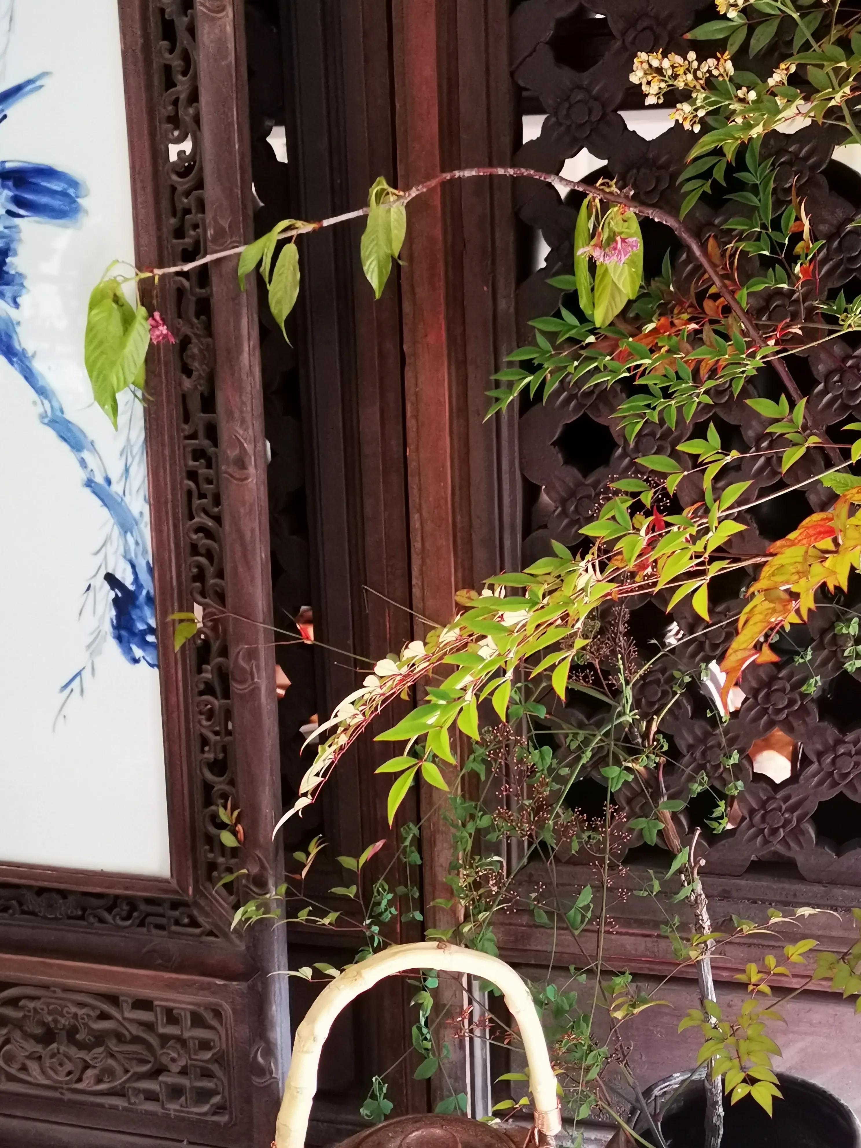 茶滋味品鉴,品鉴茶方法