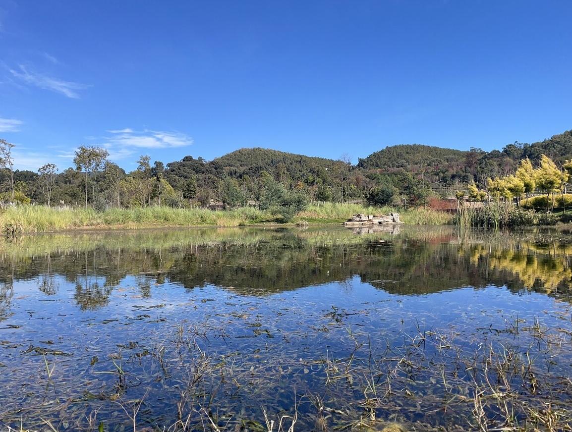 比尔盖茨宣布裸捐,比尔盖茨卸任后裸捐