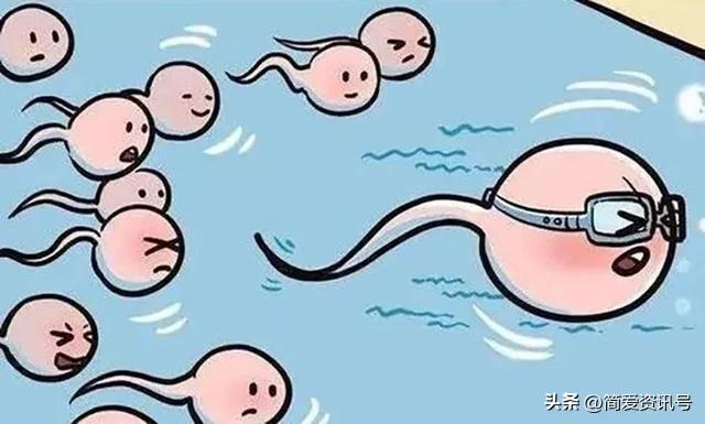 “精子”进入体内后会发生什么?