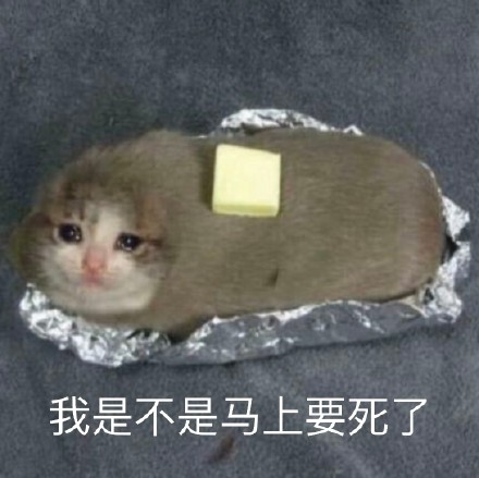 猛踢硬东西的后果,男人被踢下盘会死吗