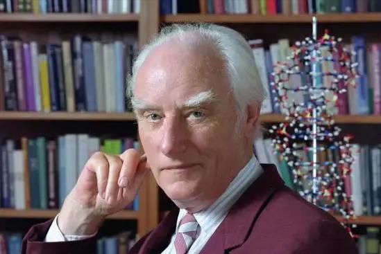 头被砍掉大脑还有意识吗？是身体感觉头掉了，还是头找不到身体了