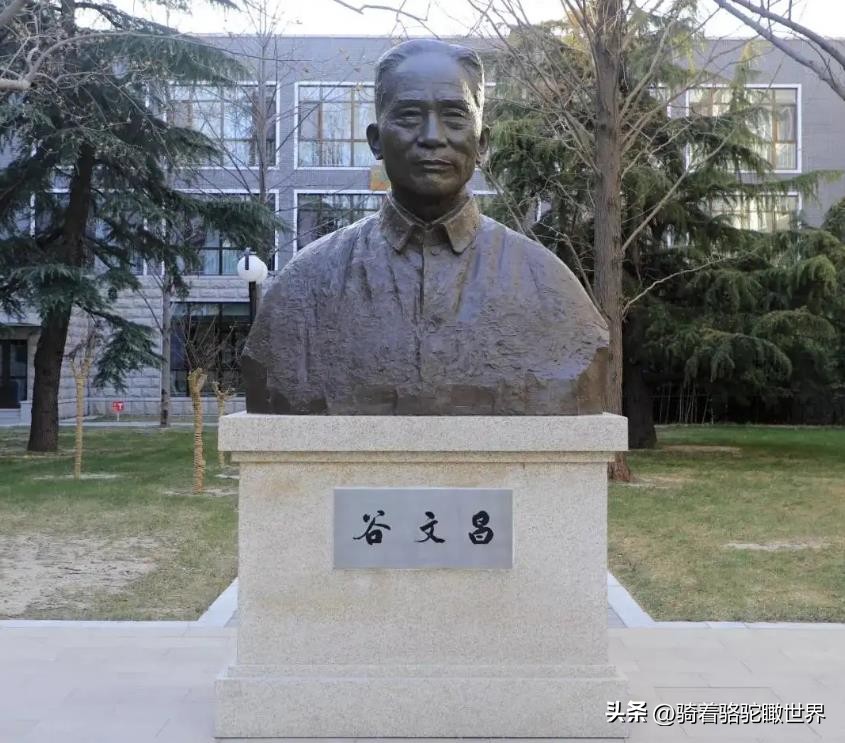 东山岛马銮湾景区沙滩,最美海岸线东西冲旅游攻略