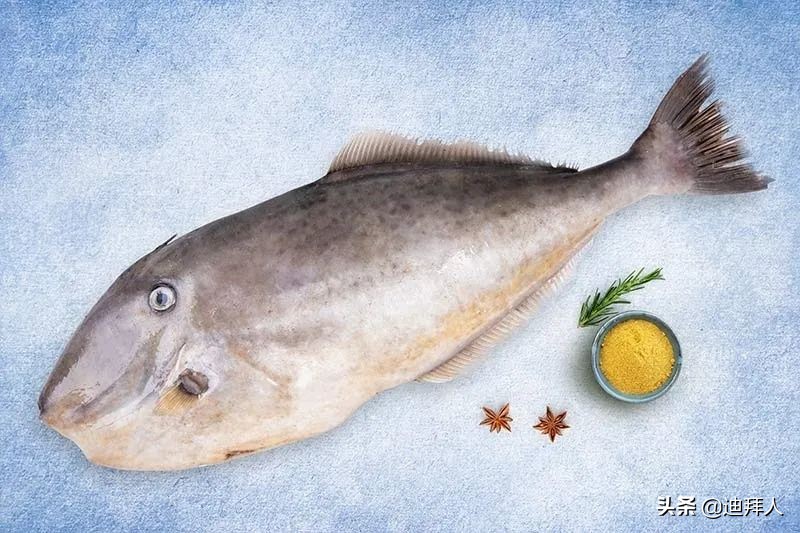 杩嫓瓒呭競娴烽矞,杩嫓瓒呭競娴烽奔