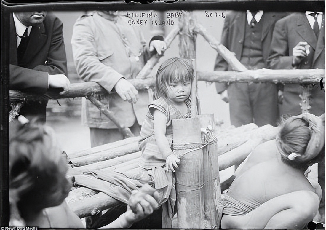 人类被动物当成宠物养在笼子里,把人类当作宠物关在笼子里