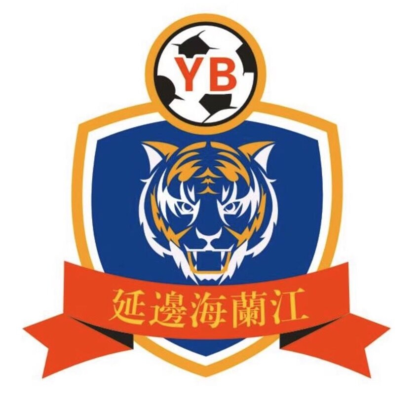 中乙冲甲组延边龙鼎2:0首胜图片,中乙延边龙鼎冲甲成功