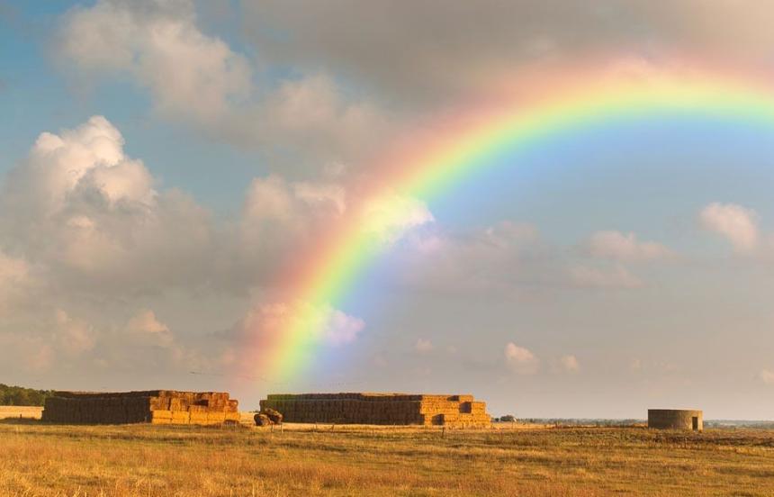 为什么看不到彩虹了,现在为什么很少看到彩虹