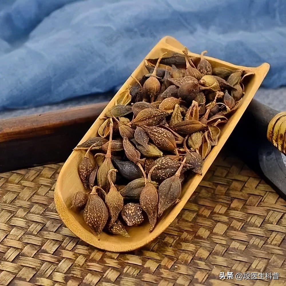 中医辨证论治太阴腹痛证,脉痛的治疗方法