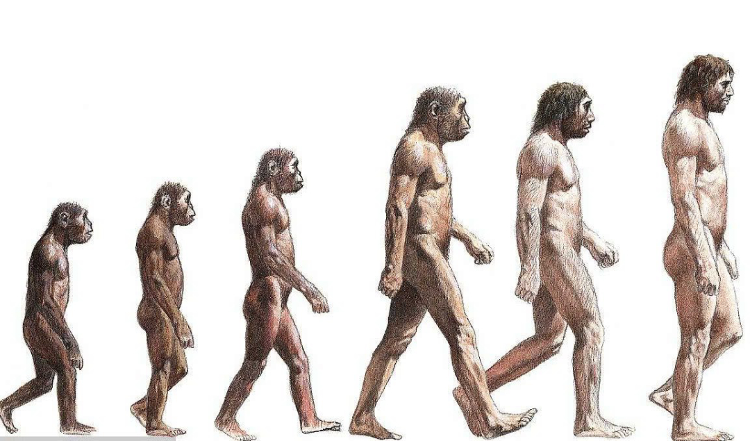 每一个人类都是由女性生的,那么世界上第一个女性,是从哪来的?