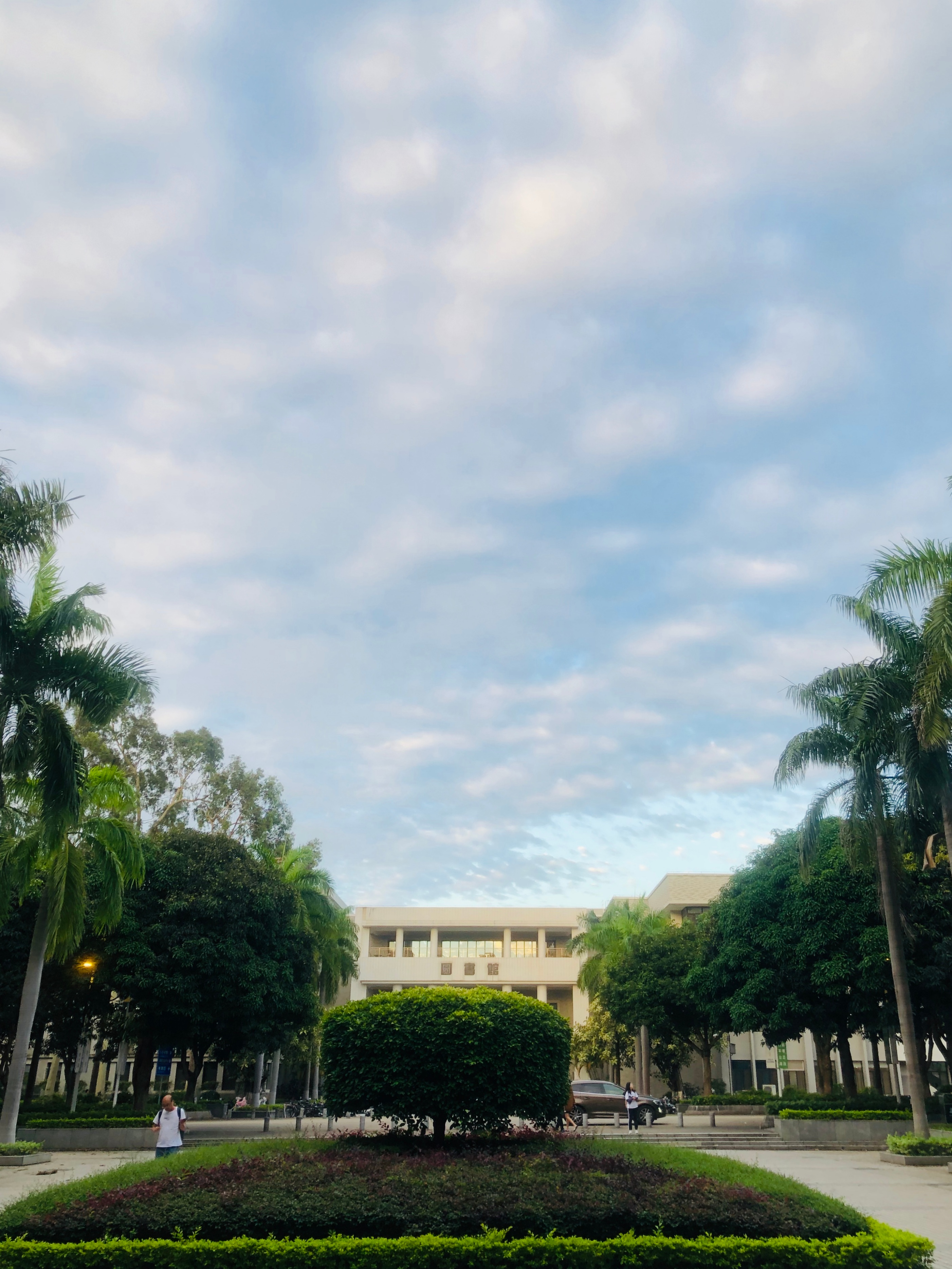 广州小城五山这个地方有多少个大学?