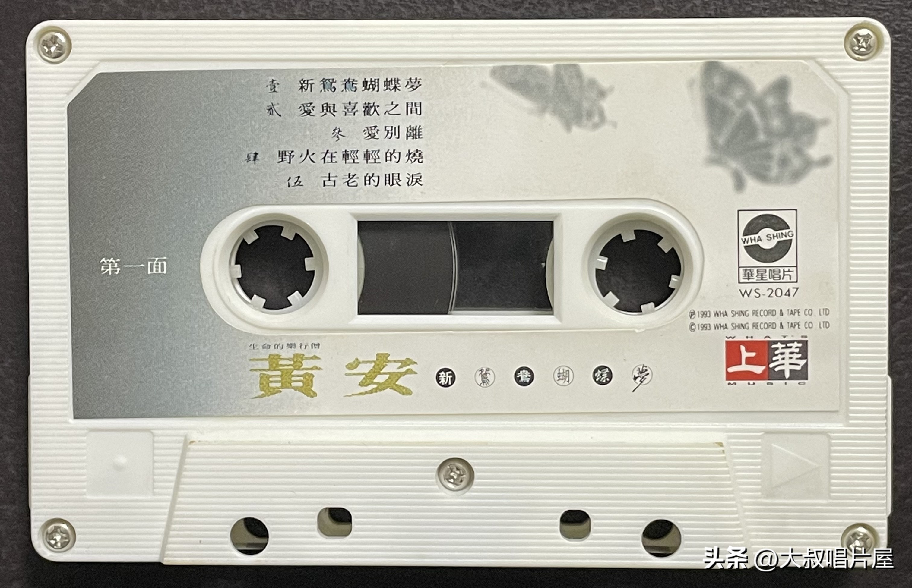 1993年最流行的歌是什么,03年最火的十首歌