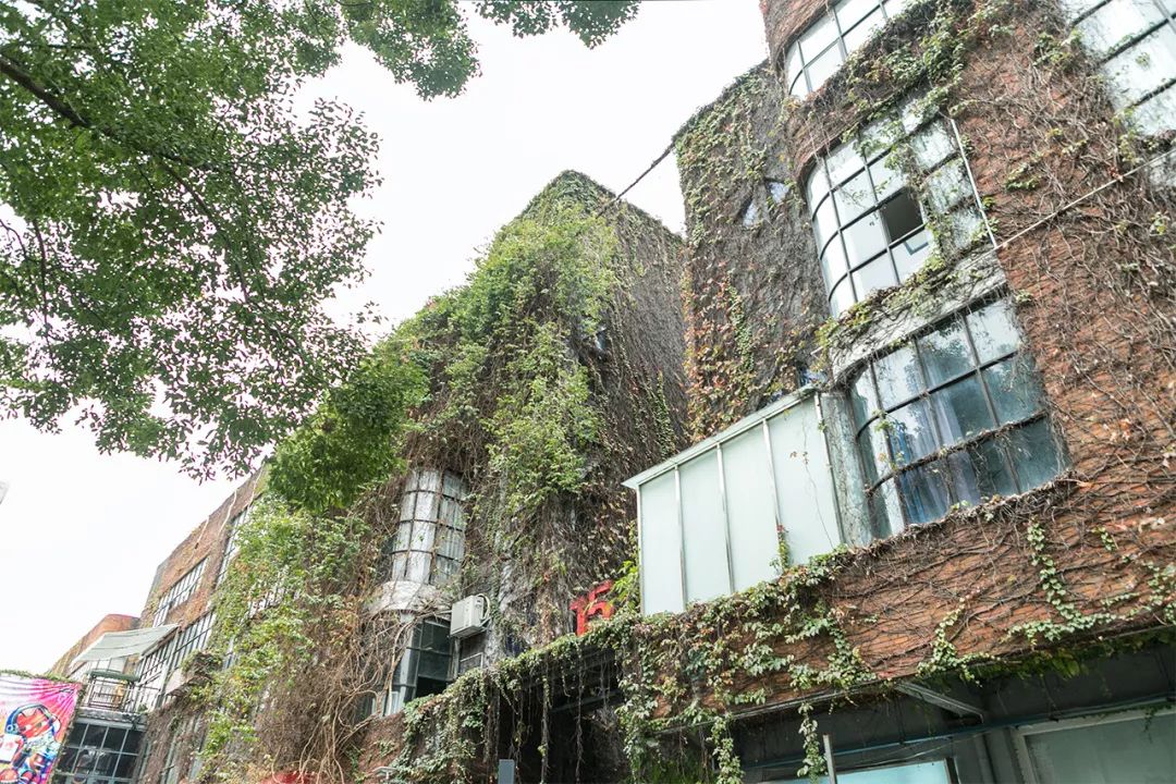 深圳1号线有什么好玩的景点,深圳1号线好玩的地方室内