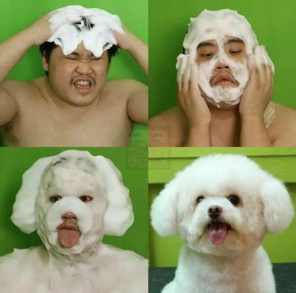 一七年让代购买的漫画，昨天联系我说他出来了，问我书还要不要