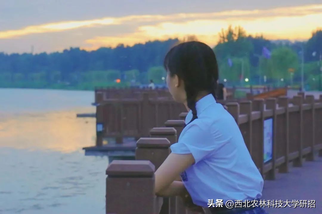 瑗垮寳鍐滄灄绉戞妧澶у鐮斿鎰熸偀,瑗垮寳鍐滄灄绉戞妧澶у鐮斿涔嬫梾