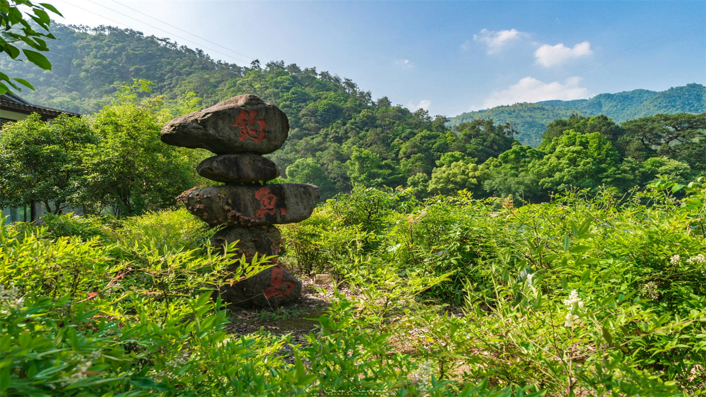 张云夏:看过人生繁华,还是平淡最真