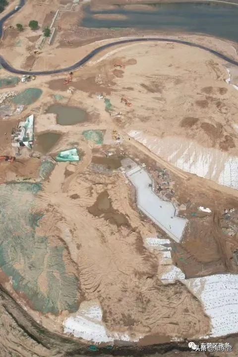 东营泮水公园火爆,东营泮水公园有植物吗