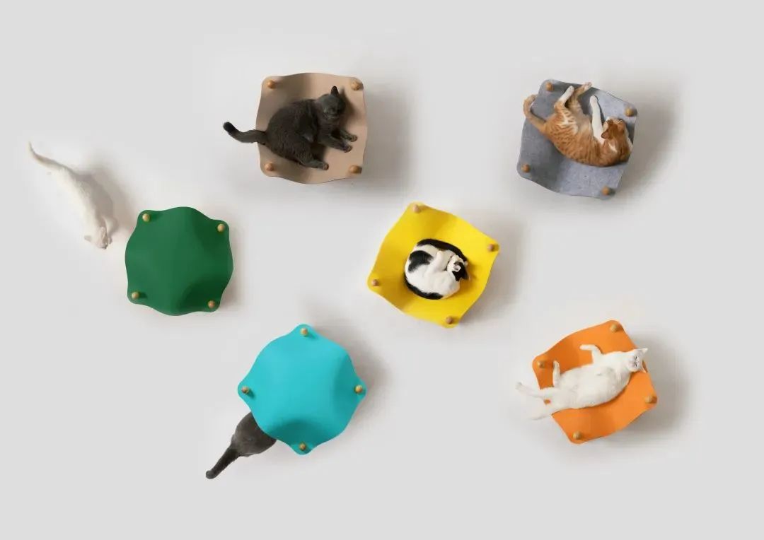 一枚毛茸茸的“精神解药”,如何撬动千亿级市场?