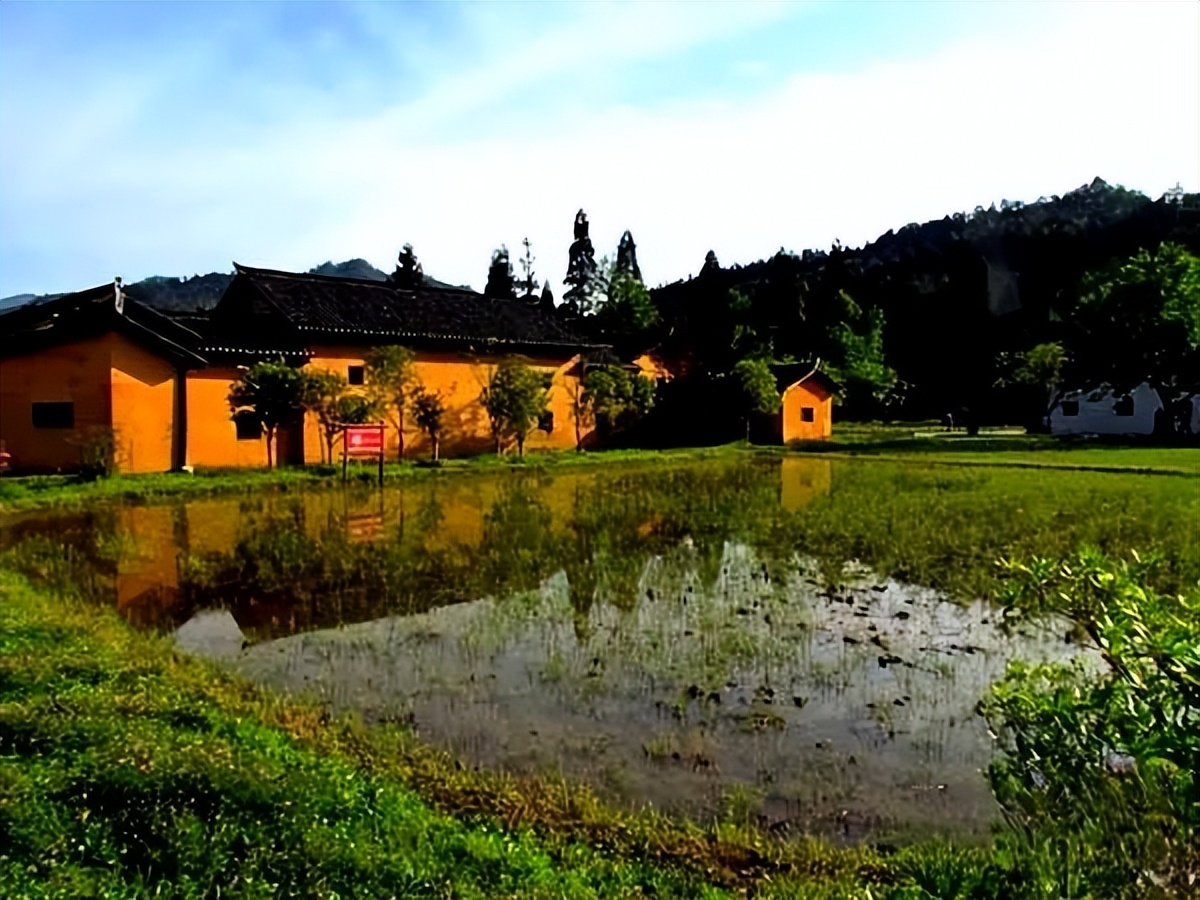 哈雷车主会福州分会,哈雷hog车主会八周年庆典巡游