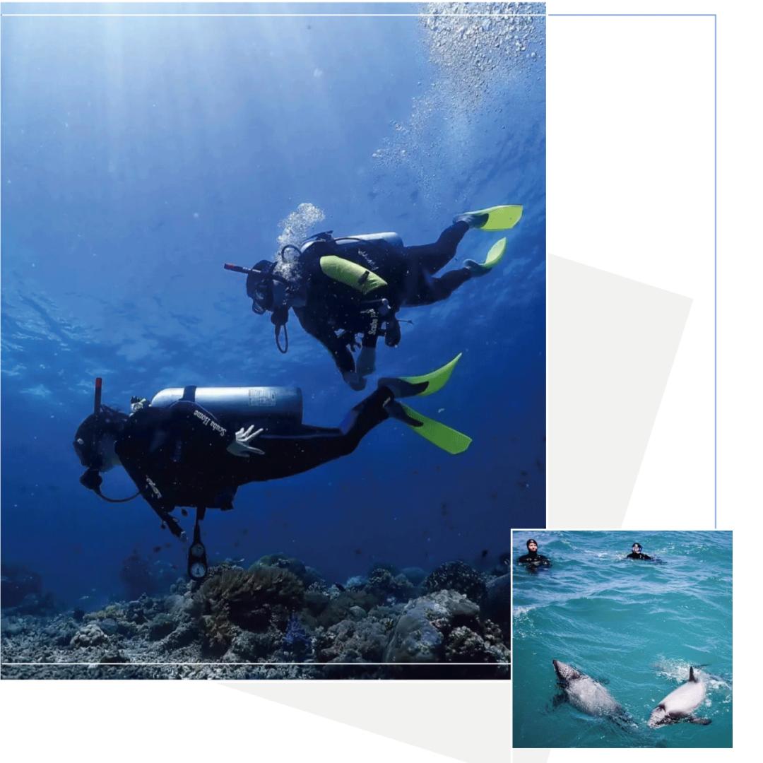 lv沉浸式买包,lv官网最平价隐藏清单