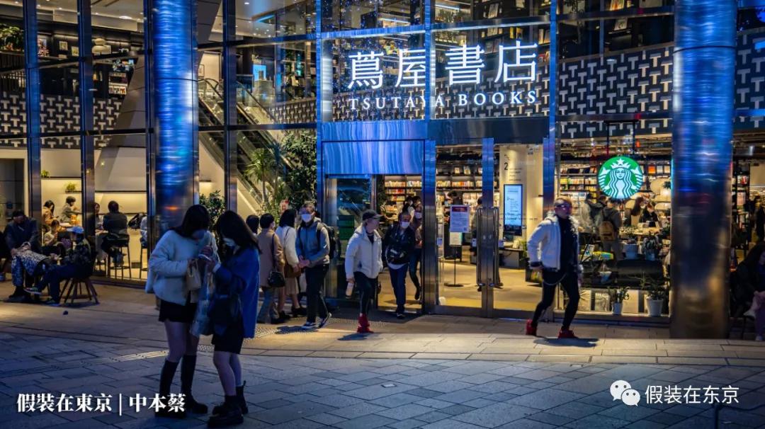 365张照片回顾,365张相片