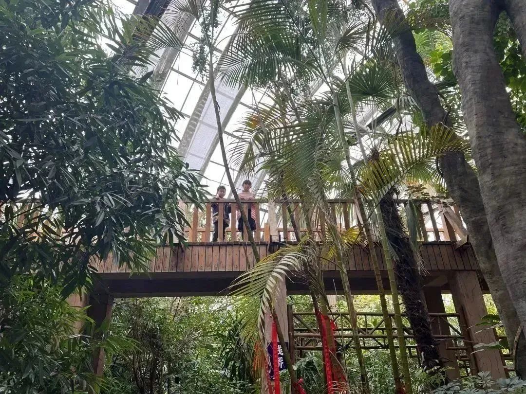 天津房车公园露营基地,一张天幕露营